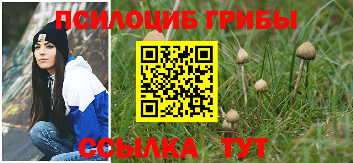 Псилоцибиновые грибы мухоморы Тайшет