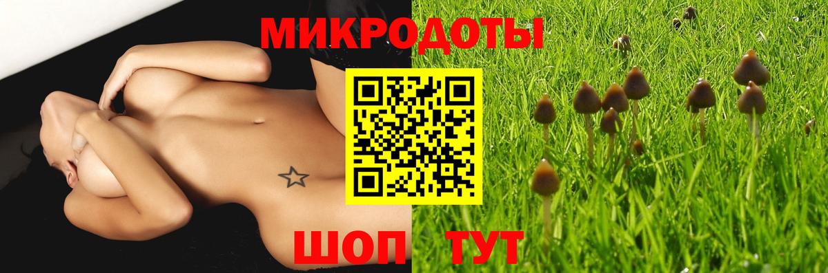 закладка  Вход с VPN  Тайшет  Галлюциногенные грибы Cubensis 